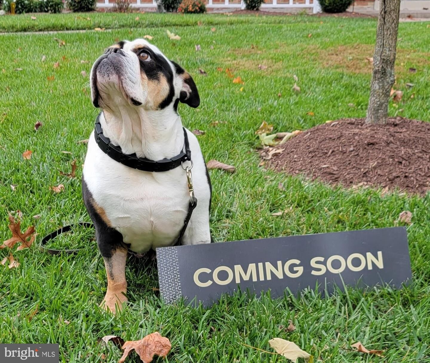 Property Photo:  2501 Catoctin Court 5 1D  MD 21702 