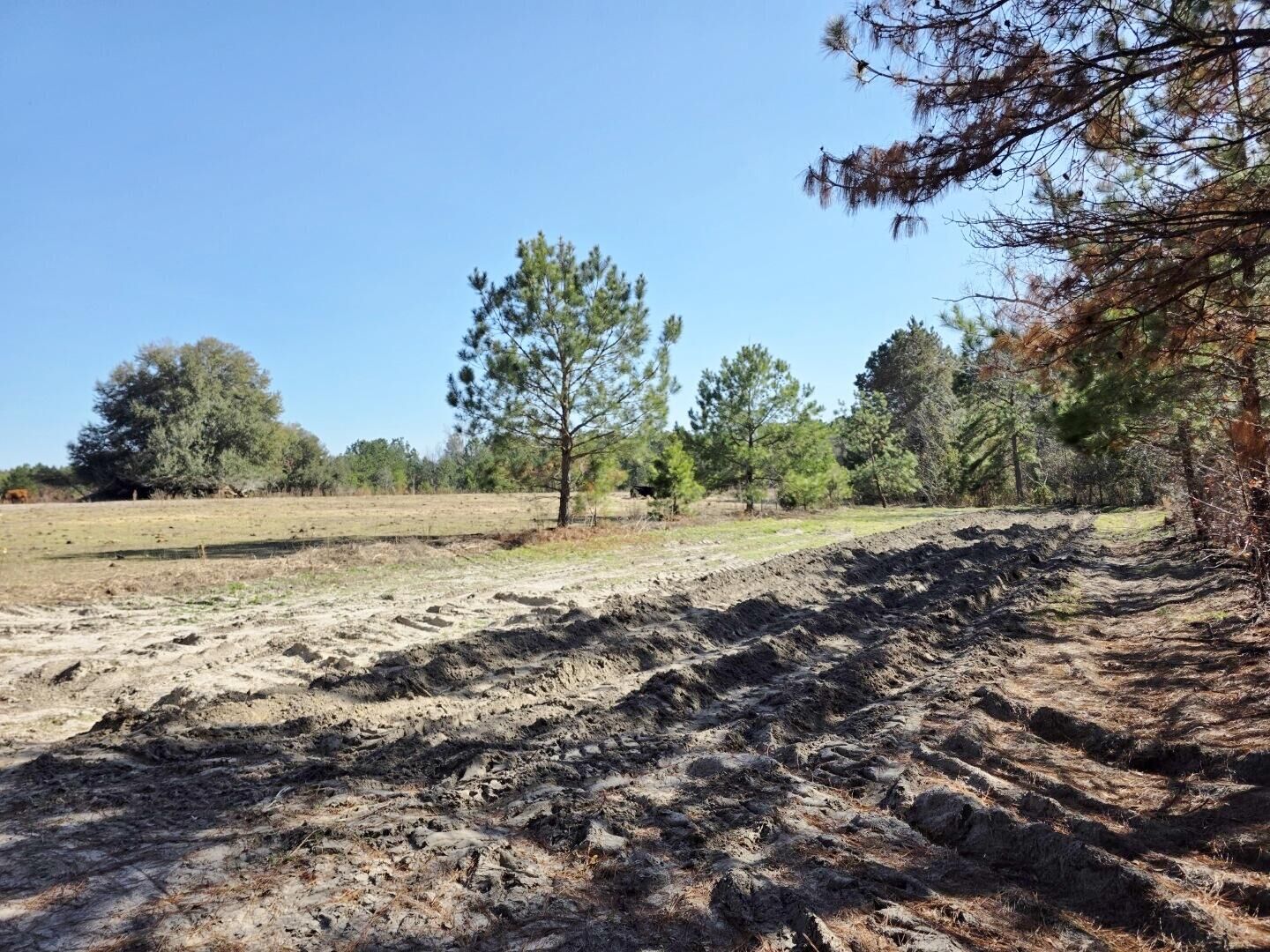 Property Photo:  0 Pompey Road  SC 29102 