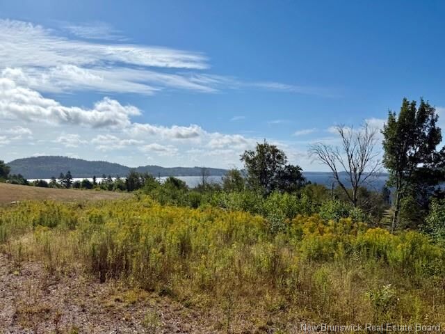 Property Photo: 1191 137 Route 785 NB E5C 2L3