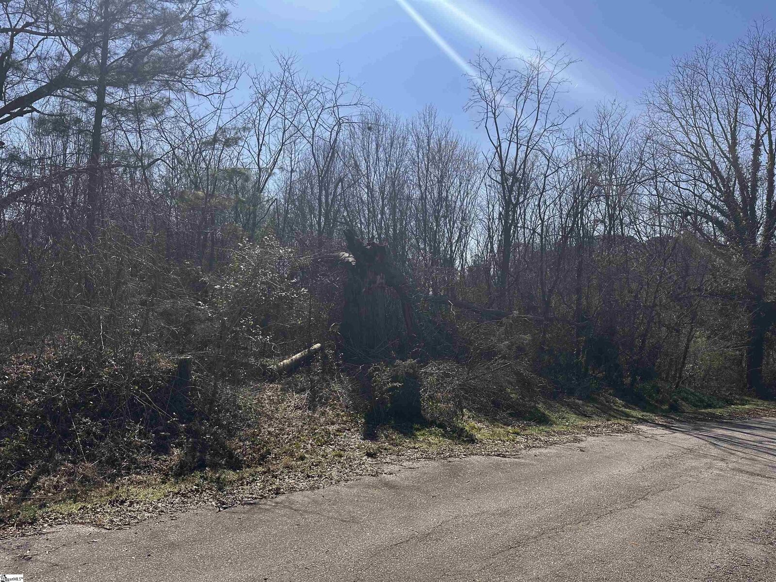 Property Photo: Lot 15 Wenzick SC 29625