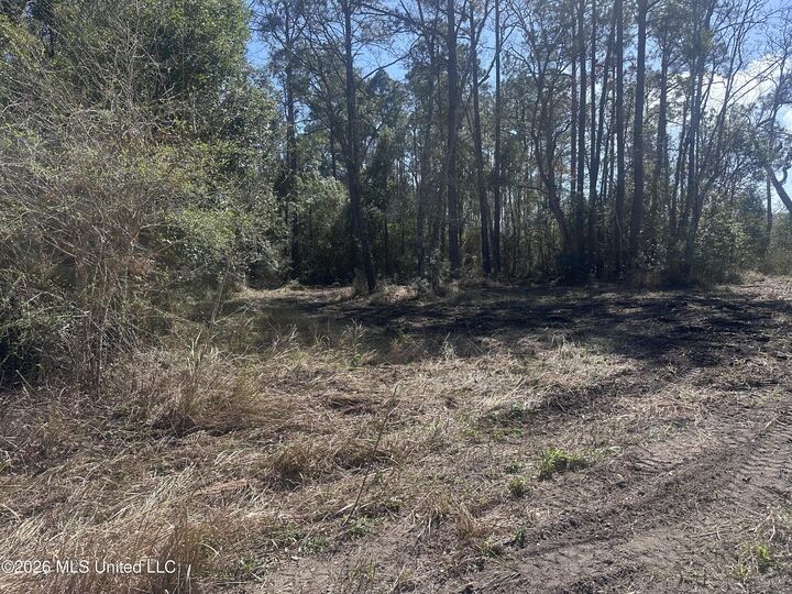Property Photo:  Orange Grove Road  MS 39562 