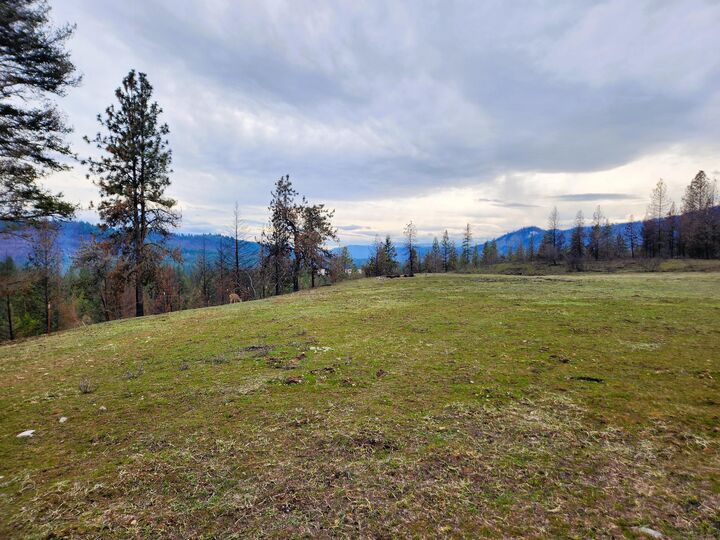 Property Photo:  34xx Northport Flat Creek Rd  WA 99141 