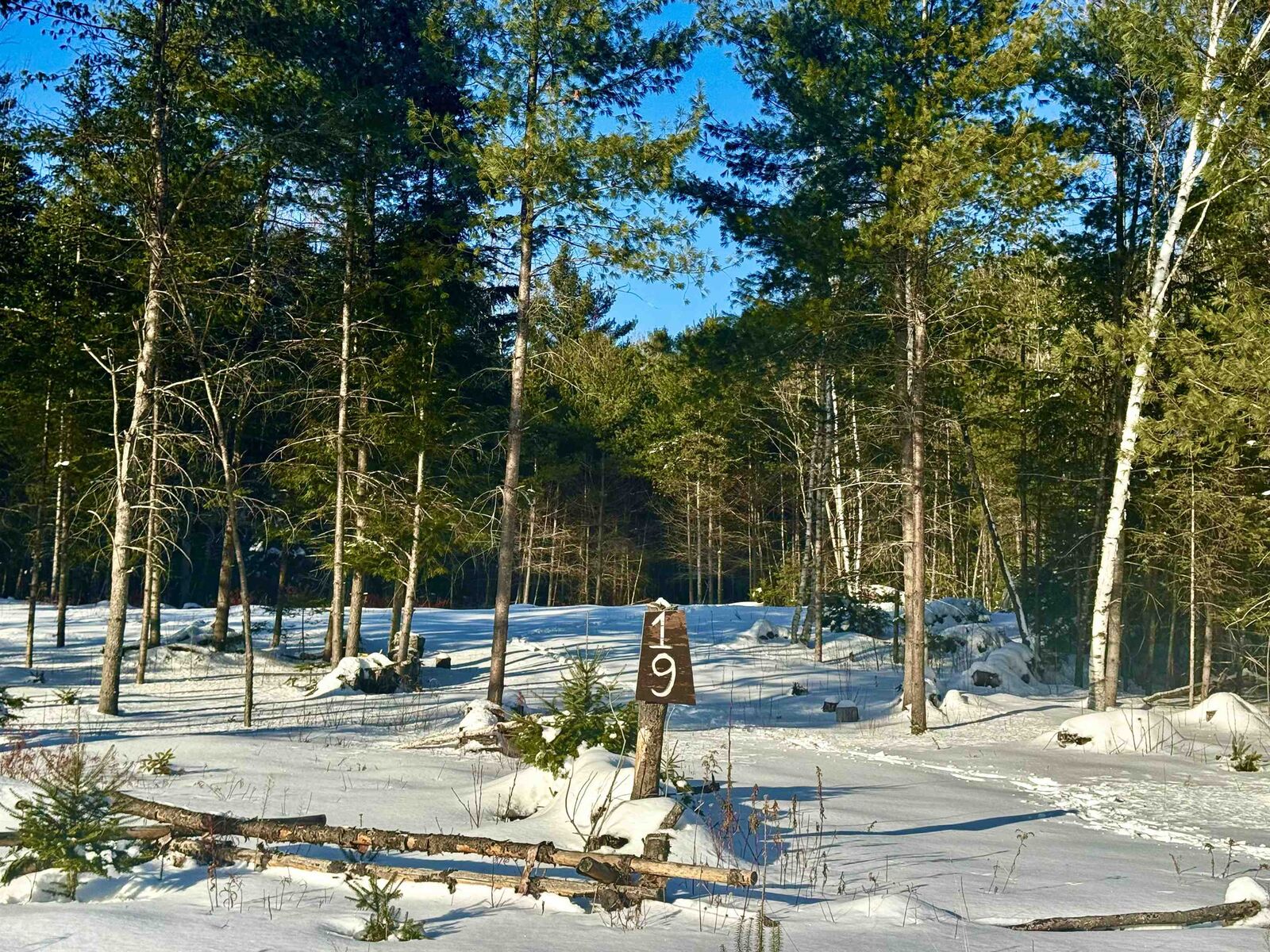 Property Photo:  19 Lodge Lane  NH 03785 