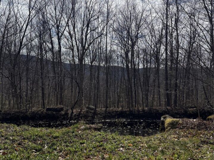 Property Photo:  298 Biddle Road  VT 05443 
