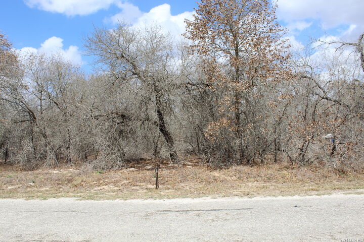 Property Photo: 290 Spur Ridge TX 78064