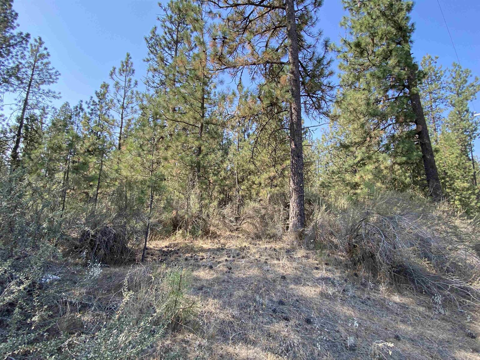 Property Photo:  5xxx Wa 291 Hwy  WA 99026 