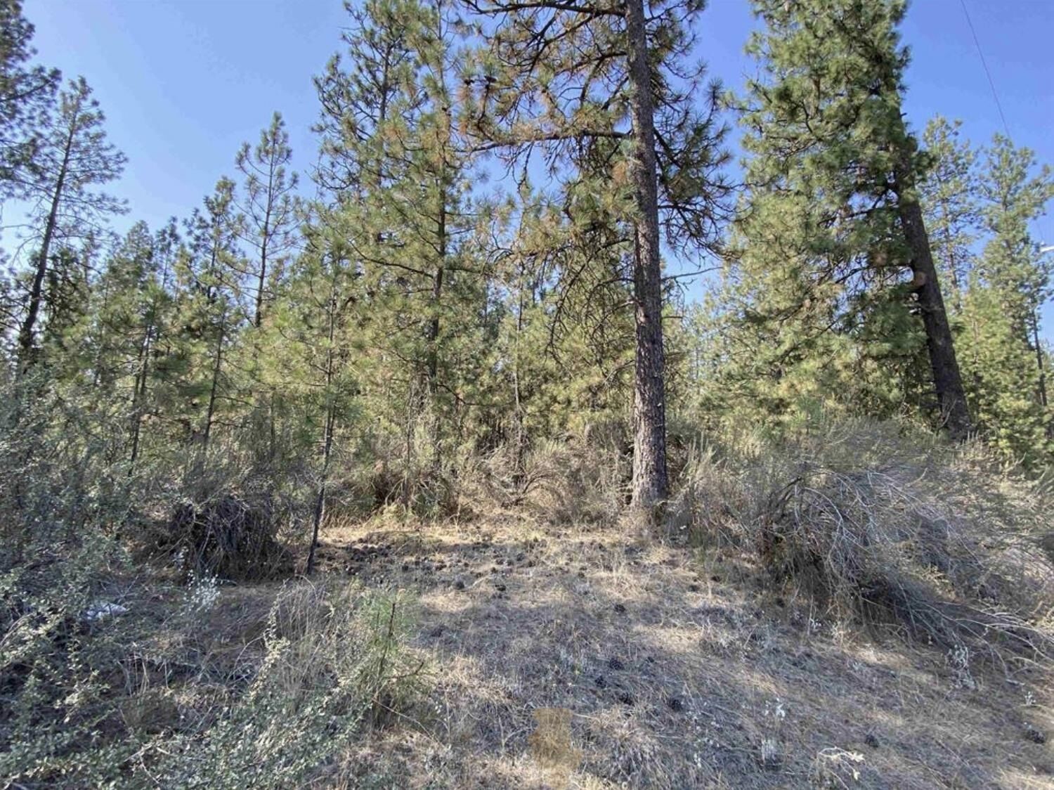 Property Photo: 5xxx Wa 291 Hwy WA 99026