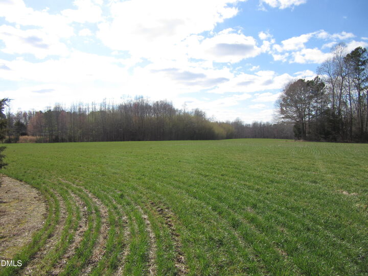 Property Photo: 11.73 Acre Nc Hwy 96 NC 27597