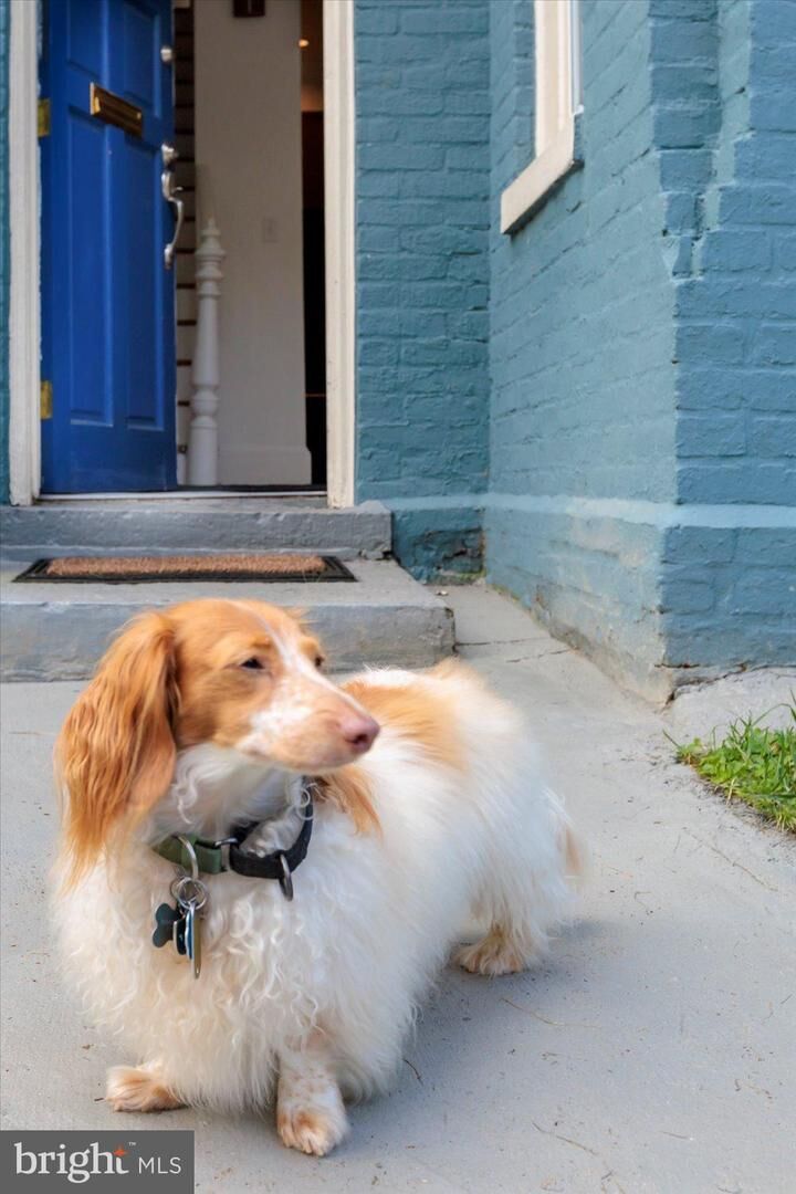 Property Photo:  911 Independence Avenue SE  DC 20003 