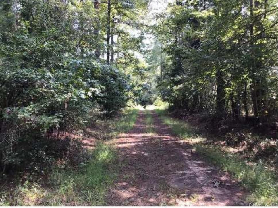 Property Photo:  000 County Rd 79  AR 71742 