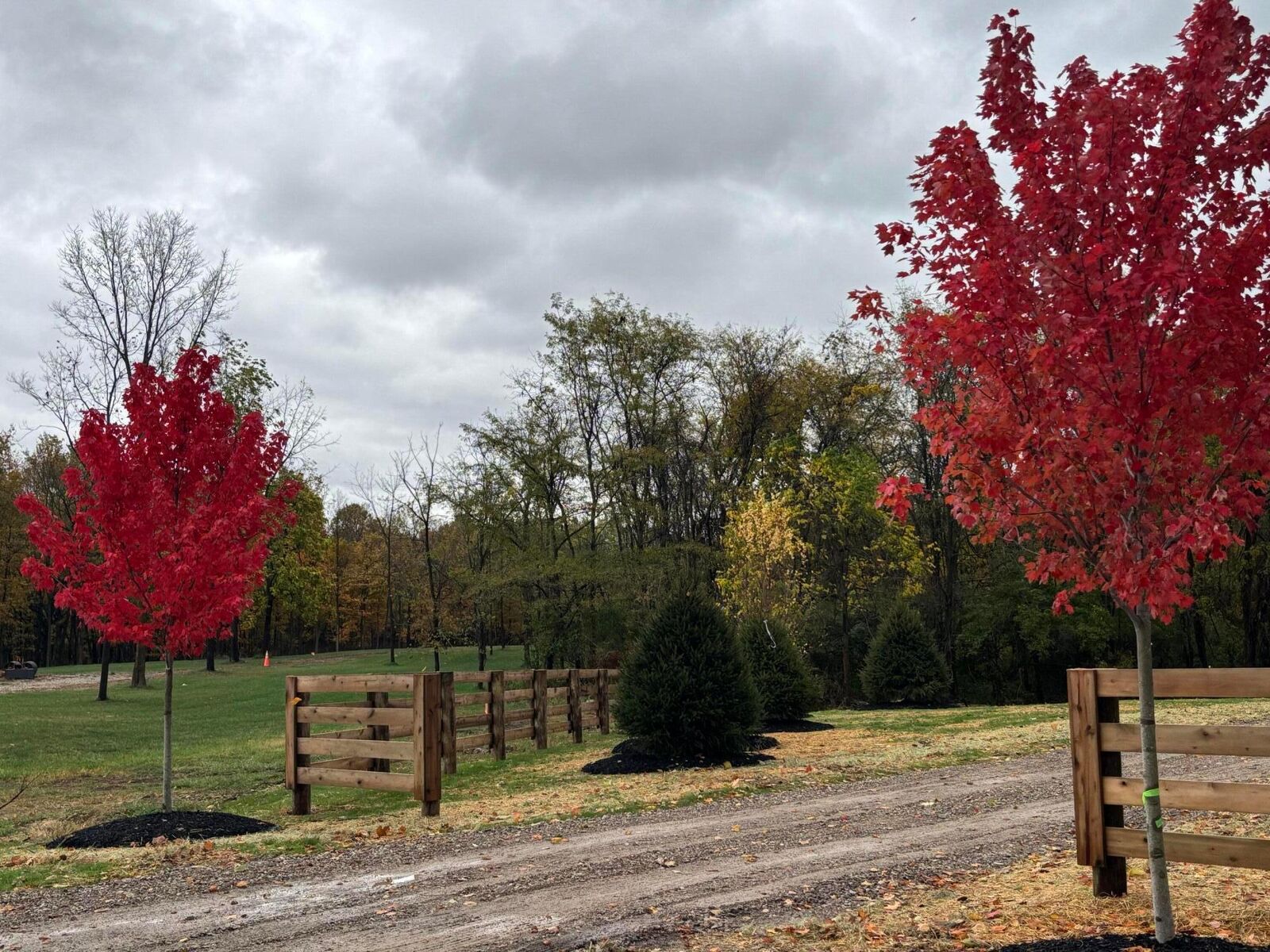 Property Photo:  7239 Dublin Road  OH 43015 