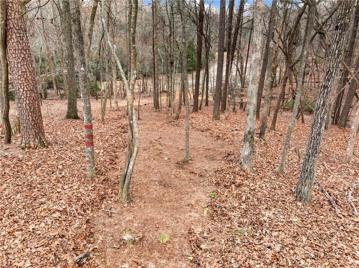 Property Photo:  6650 Lake Run Drive  GA 30542 