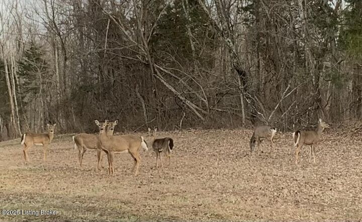 Property Photo:  2325 Pattons Creek Rd  KY 40055 