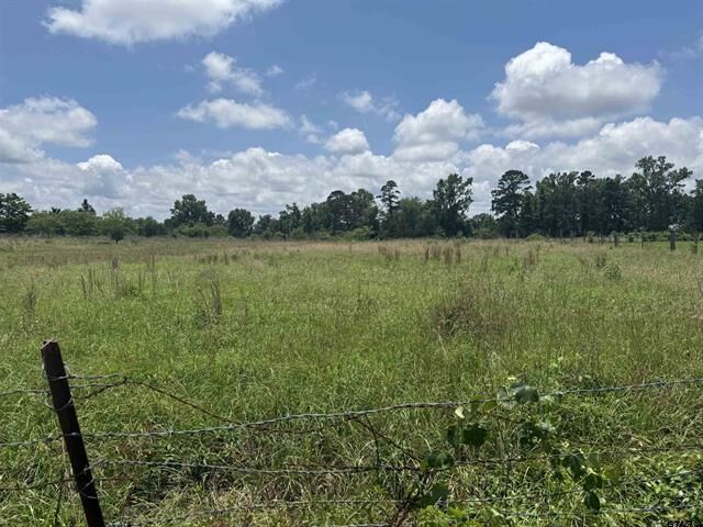 Property Photo:  Tract 3 Cr 2168  TX 75789 