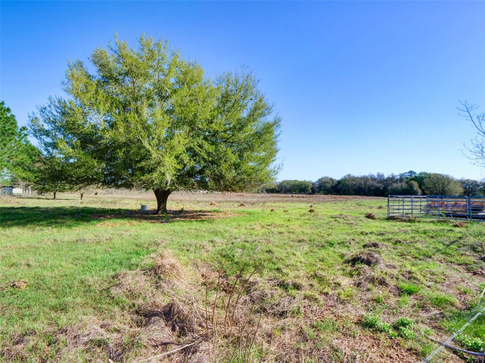 Property Photo:  000000- Cr 614A  FL 33513 