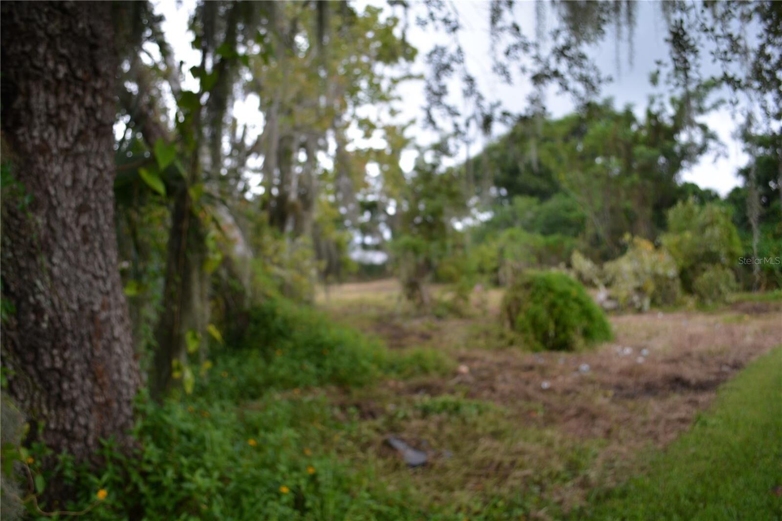 Property Photo:  0 SE 3rd Street Street  FL 32148 