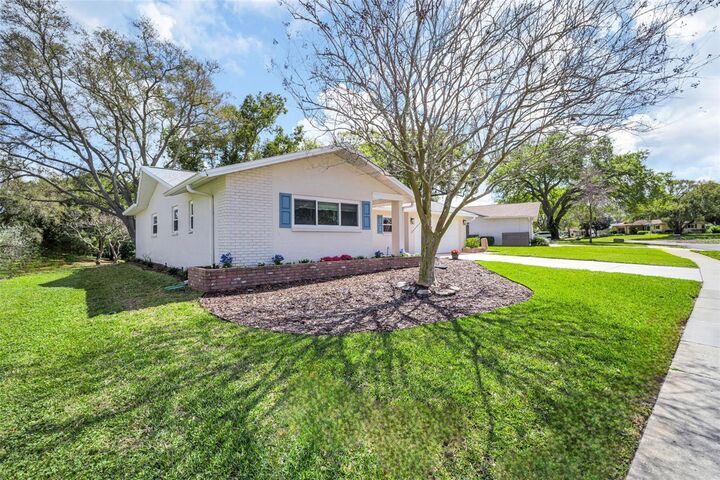 Property Photo:  1223 Timberbrooke Drive  FL 34684 