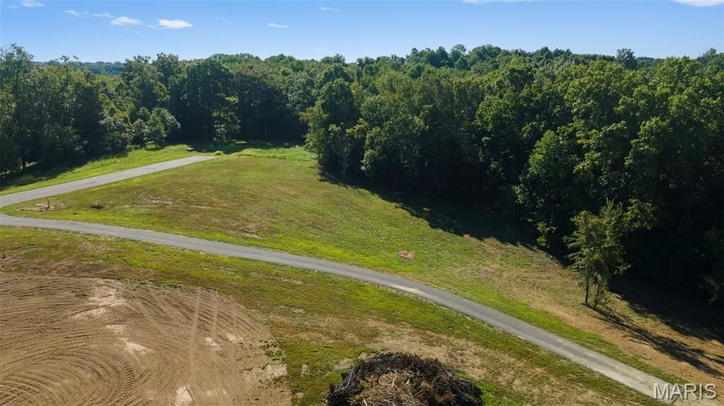 Property Photo: 0 Old Wagon (Lots 175-176) Trail MO 63755