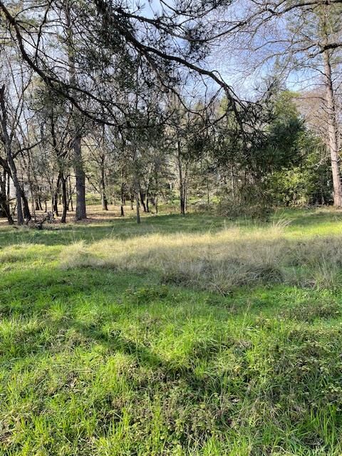 Property Photo:  10710 W View Way  CA 95949 