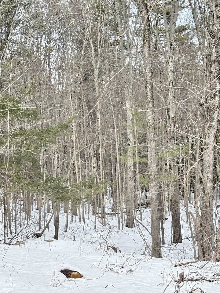 Property Photo:  79-1 Currier Road  NH 03034 