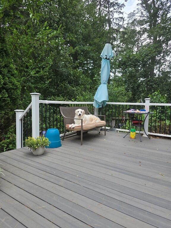 Property Photo:  32 Doncaster Circle  MA 01940 