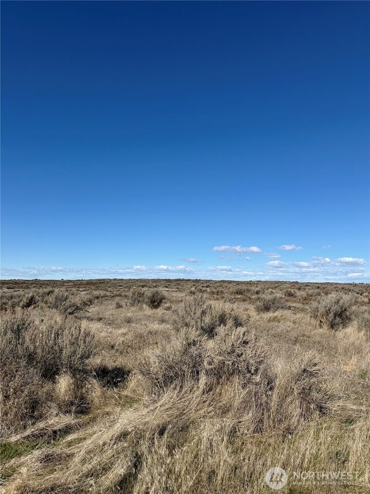 Property Photo:  0 Lot 225  Eagle Springs Ranch  WA 98860 