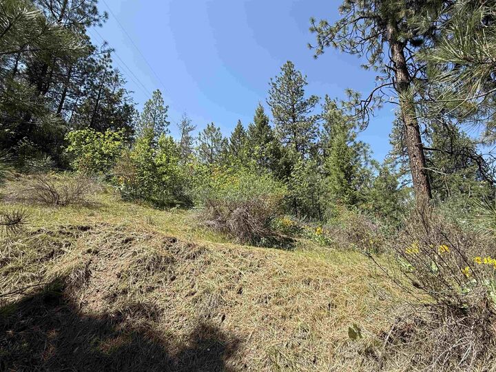 Property Photo:  42078 N Porcupine Bay Rd  WA 99122 