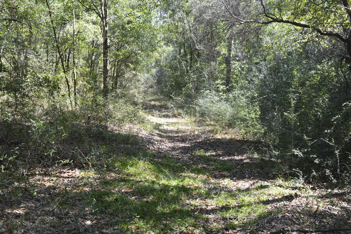 Property Photo:  Xxx Aplin (32 Ac.) Road  FL 32539 