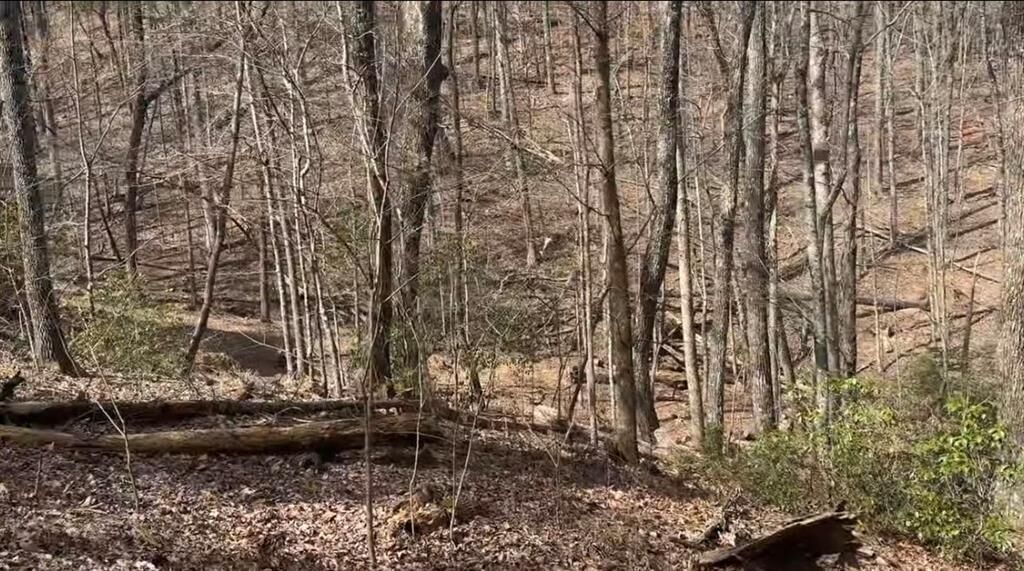 Property Photo:  0 Valley View Drive  GA 30143 