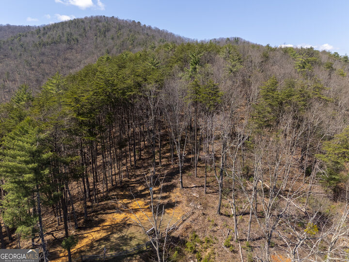 Property Photo:  0 Bellflower Place  GA 30545 