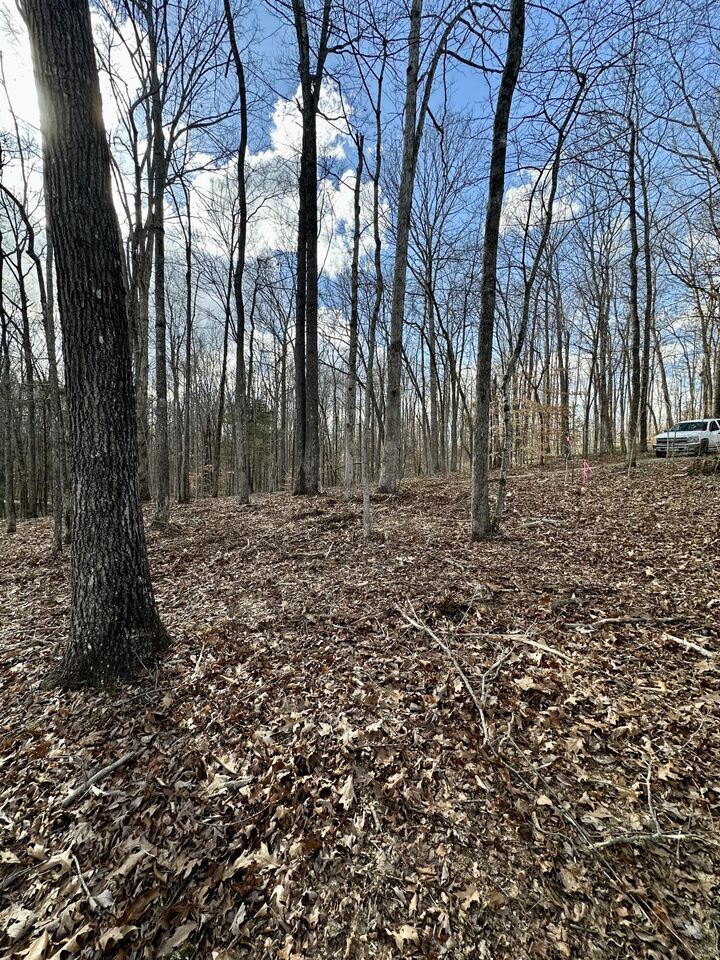 Property Photo: 16 Malone Ridge Road 16 KY 42602