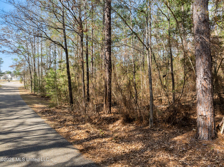 Property Photo:  6 North Of Fields  MS 39402 