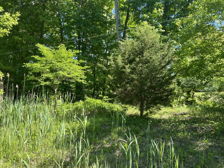 Property Photo:  19499 Kluver Road  MI 49117 