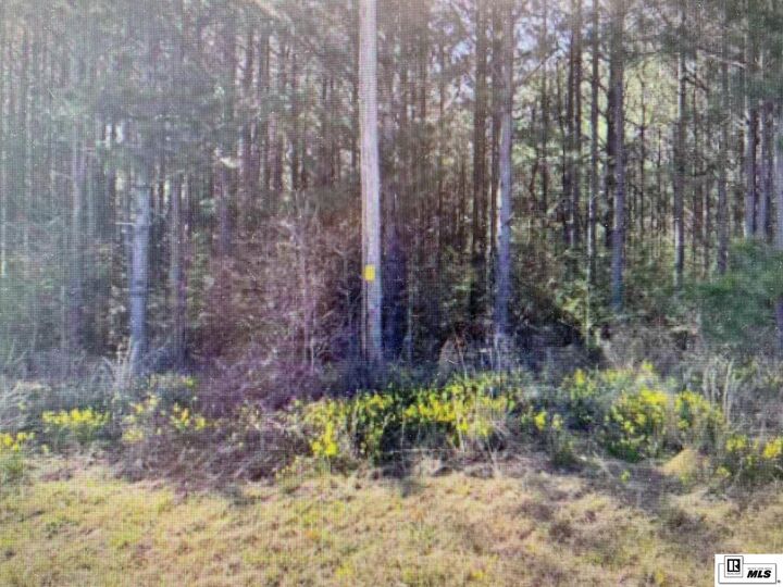 Property Photo:  0 Tech Farm Road  LA 71270 