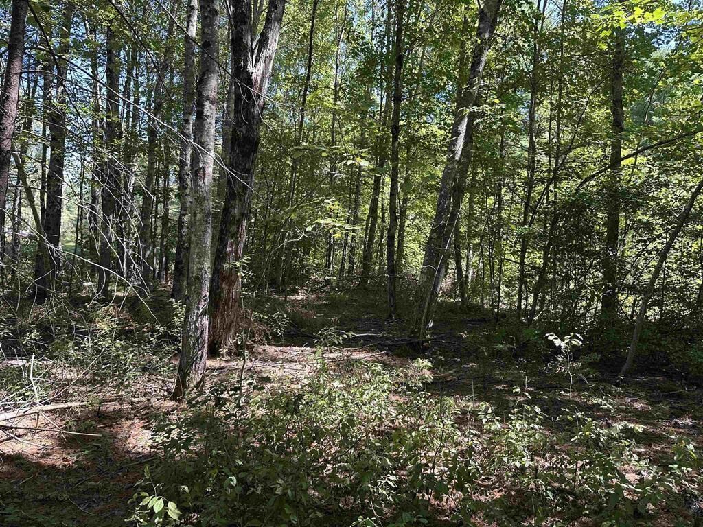 Property Photo: 12 Baxter Place NH 03809