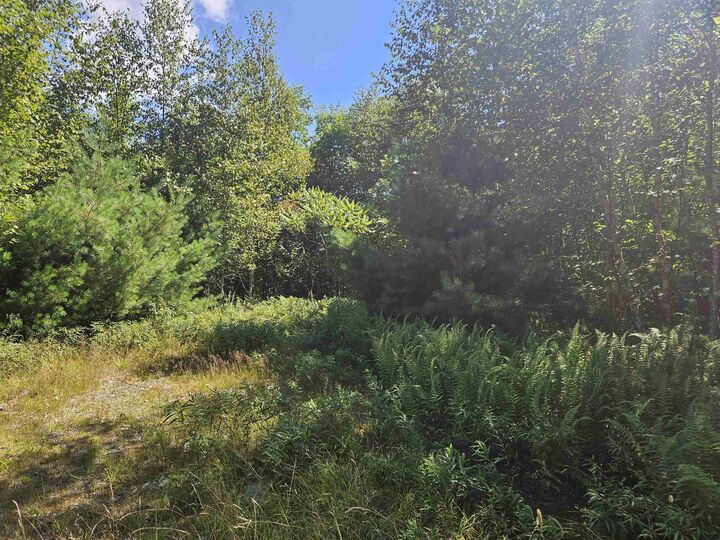 Property Photo:  Lot 3.3 Off Parker Road  NH 03585 