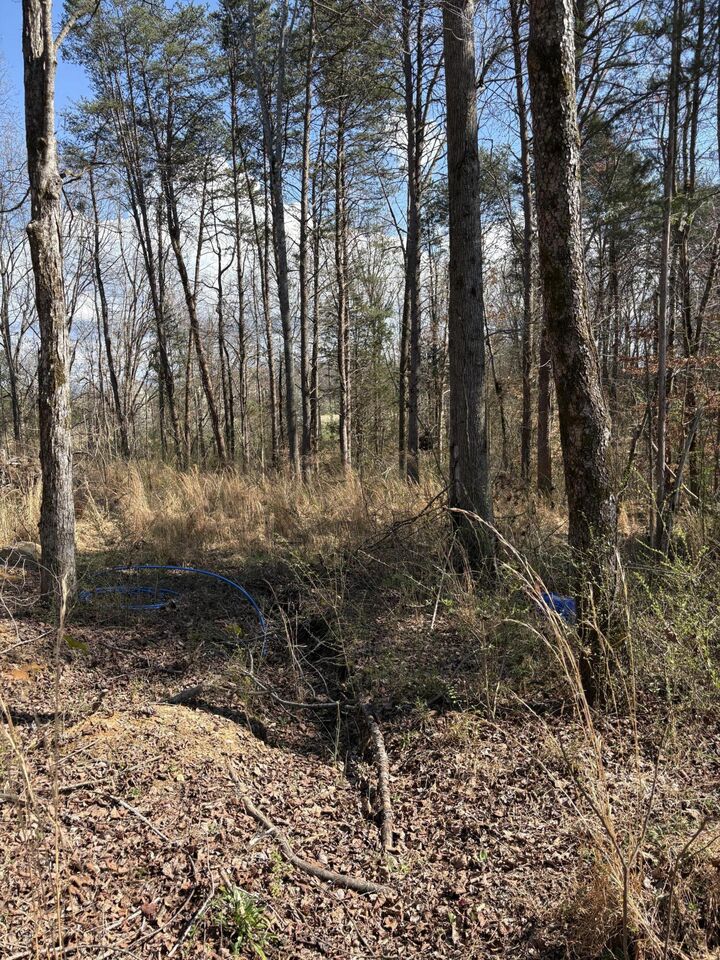 Property Photo:  609 Old Tellico Highway N  TN 37354 