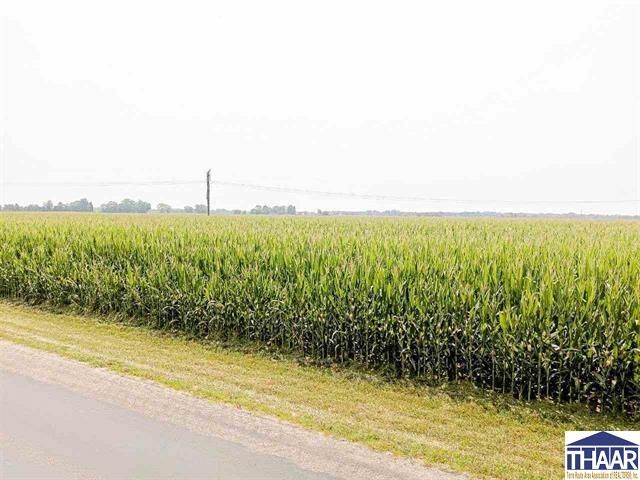 Property Photo:  Hulman Street  IN 47803 