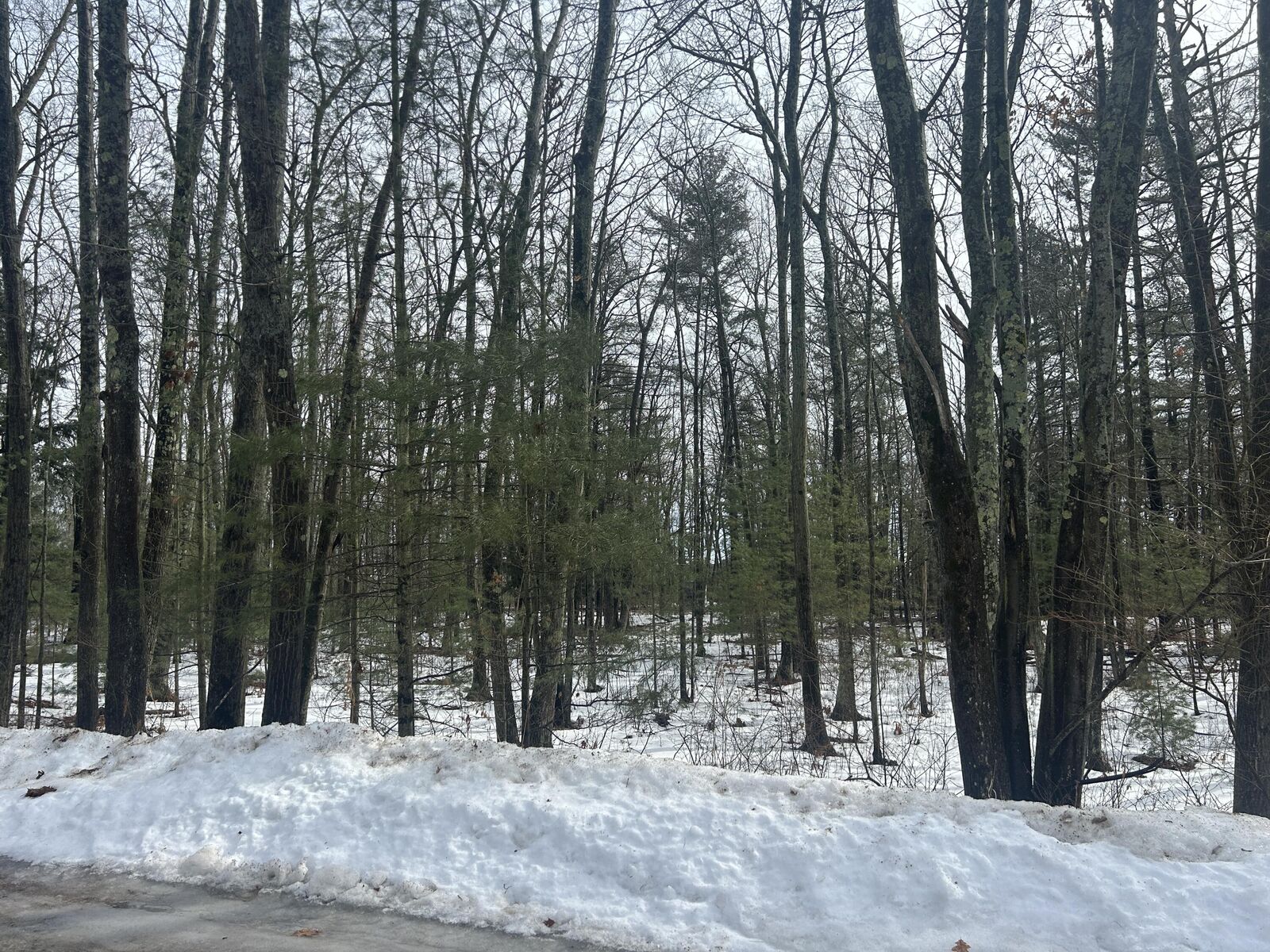 Property Photo:  V/L Lot 15 South Ellen Drive  MI 48740 