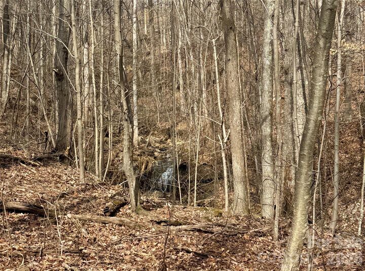 Property Photo:  99999 Chesterfield Drive 179  NC 28756 