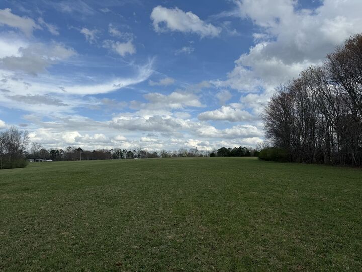 Property Photo:  0 Alabama Highway  AL 35966 