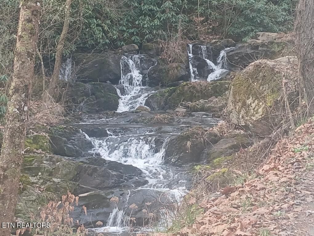 Property Photo:  Waters End Rd  TN 37886 