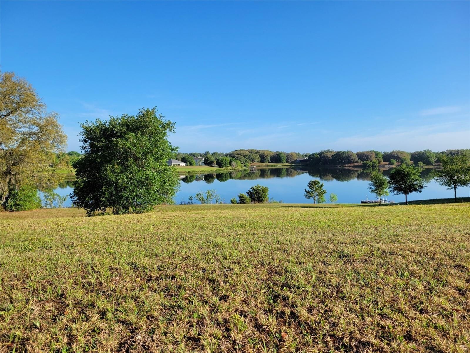 Property Photo:  36717 Barrington Drive  FL 32736 