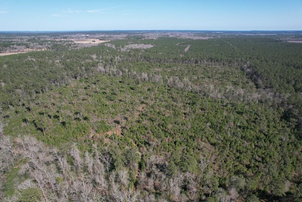 Property Photo:  (R35956&Ampr37333) None  TX 75949 