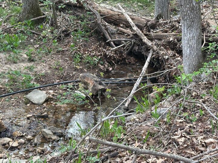 Property Photo:  188 Oregon Trail  AR 72672 