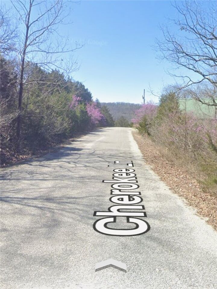 Property Photo:  Lot 1 Cherokee Lane  AR 72631 