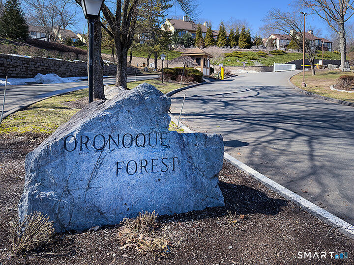 Property Photo:  690 Forest Road 703  CT 06516 