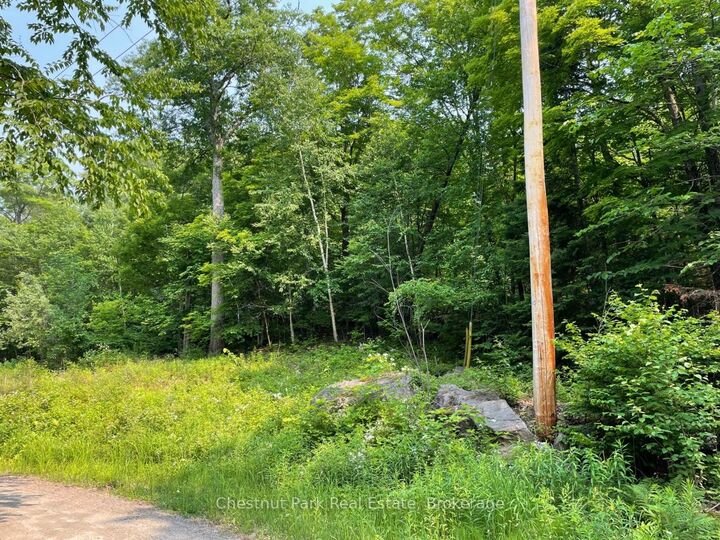 Property Photo:  0 Coleman Lake Road  ON K0M 1S0 