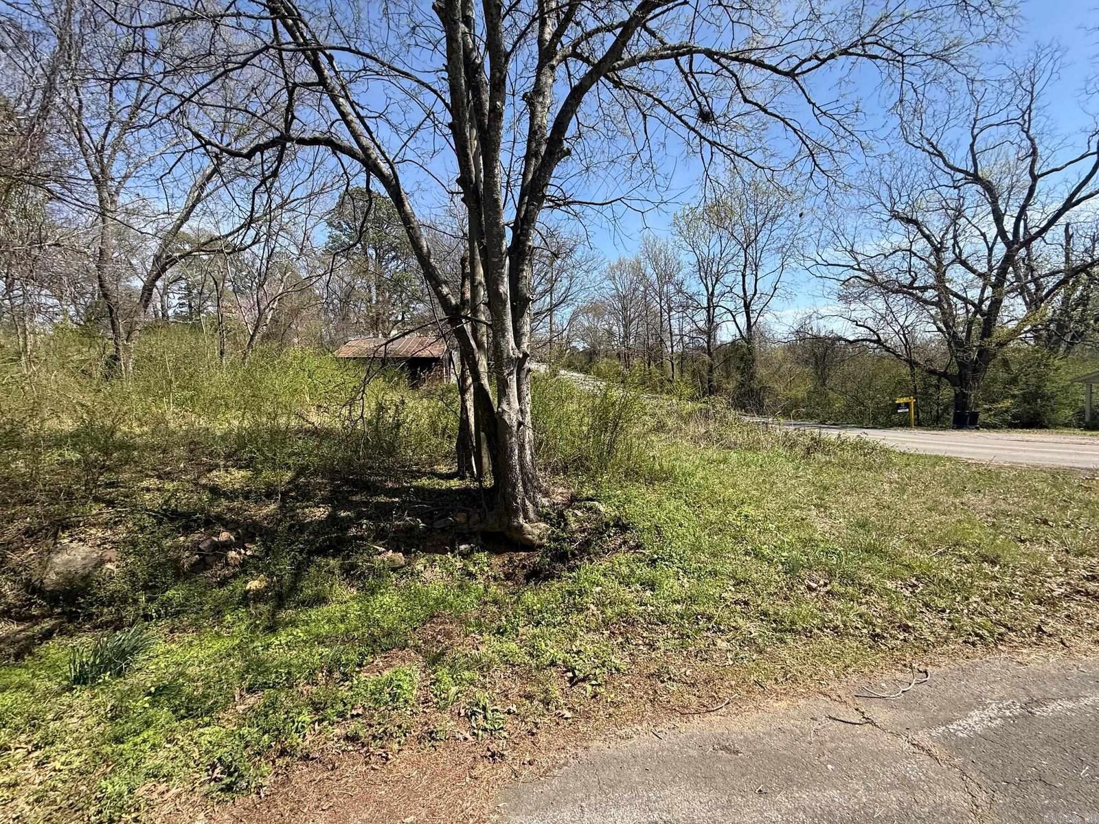 Property Photo: 708 Holly Ave AR 71953
