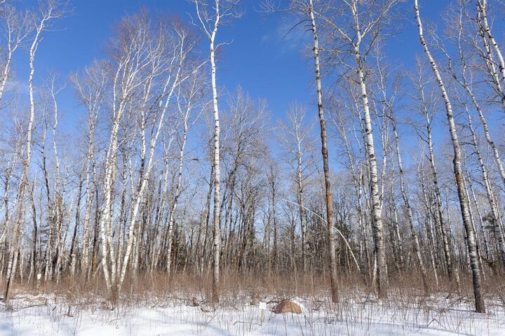 Photo de la propriété:  39 Jackpine Crescent  MB R0A 2N0 